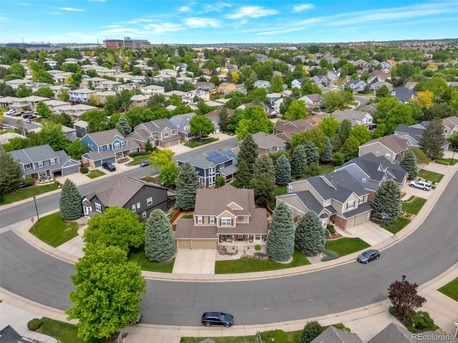 2359 Indian Paintbrush Circle Highlands Ranch CO 80129 MLS #REC1771686 06102026010520 1600 39