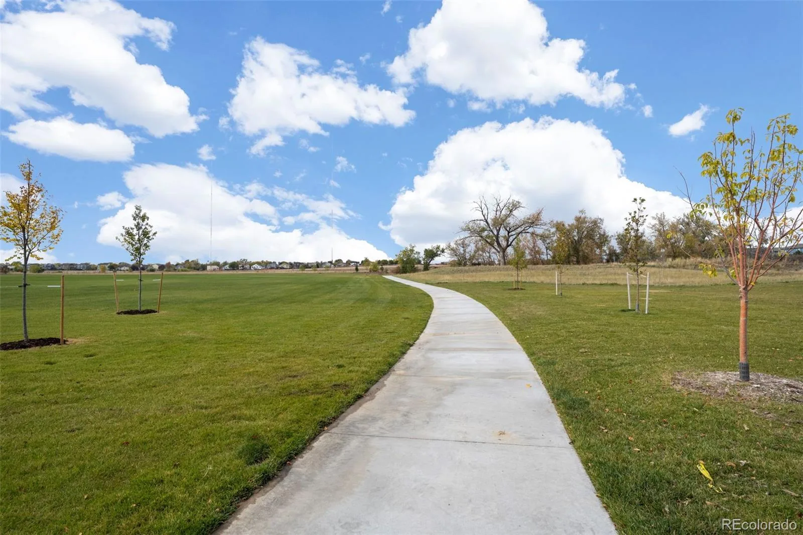 6785 E 119th Avenue Thornton CO 80233 | MLS #REC1783276 07072026155851 1600 25