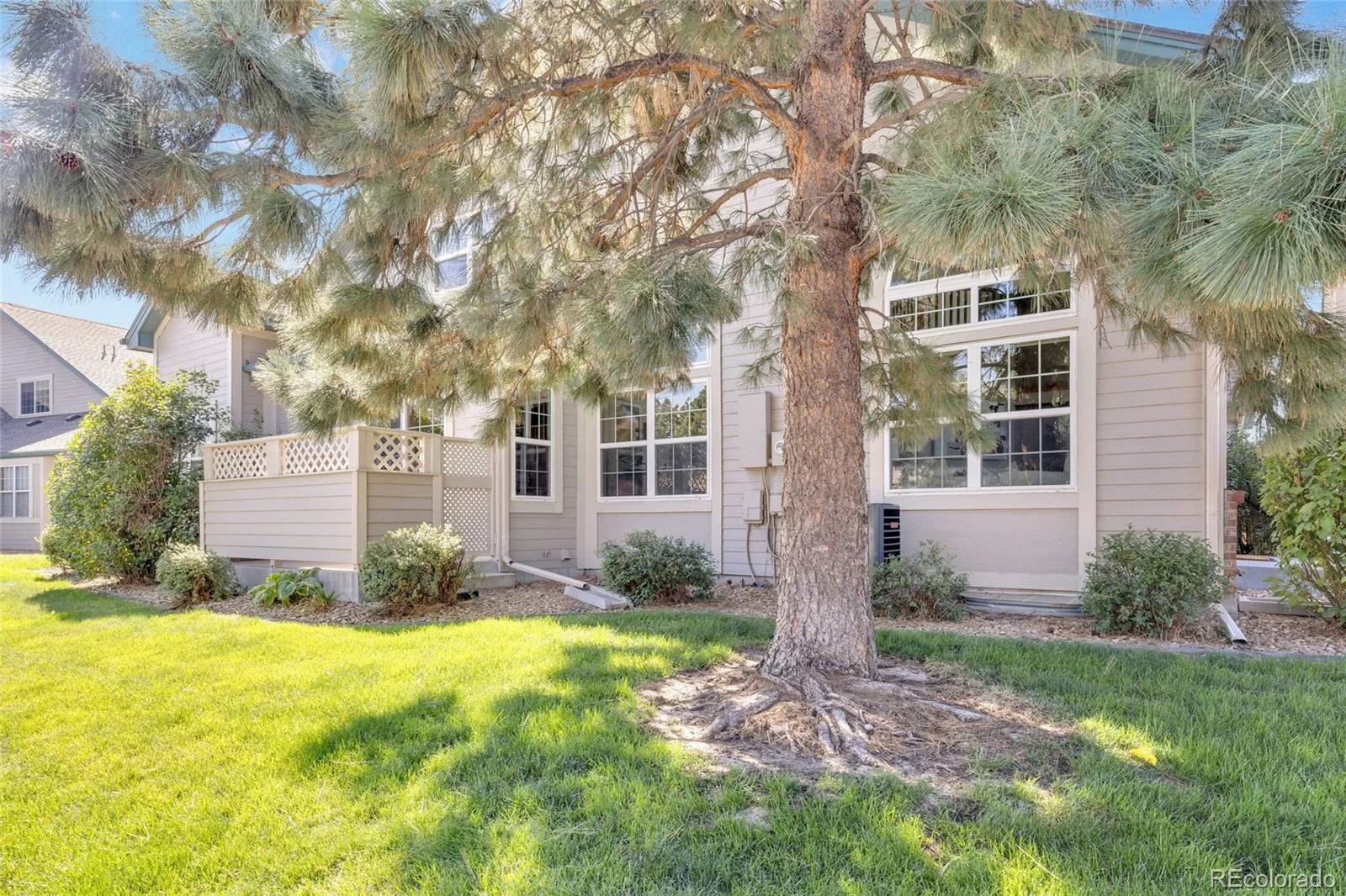 9995 E Hawaii Place Denver CO 80247 | MLS #REC1793197 08282026185620 1600 25