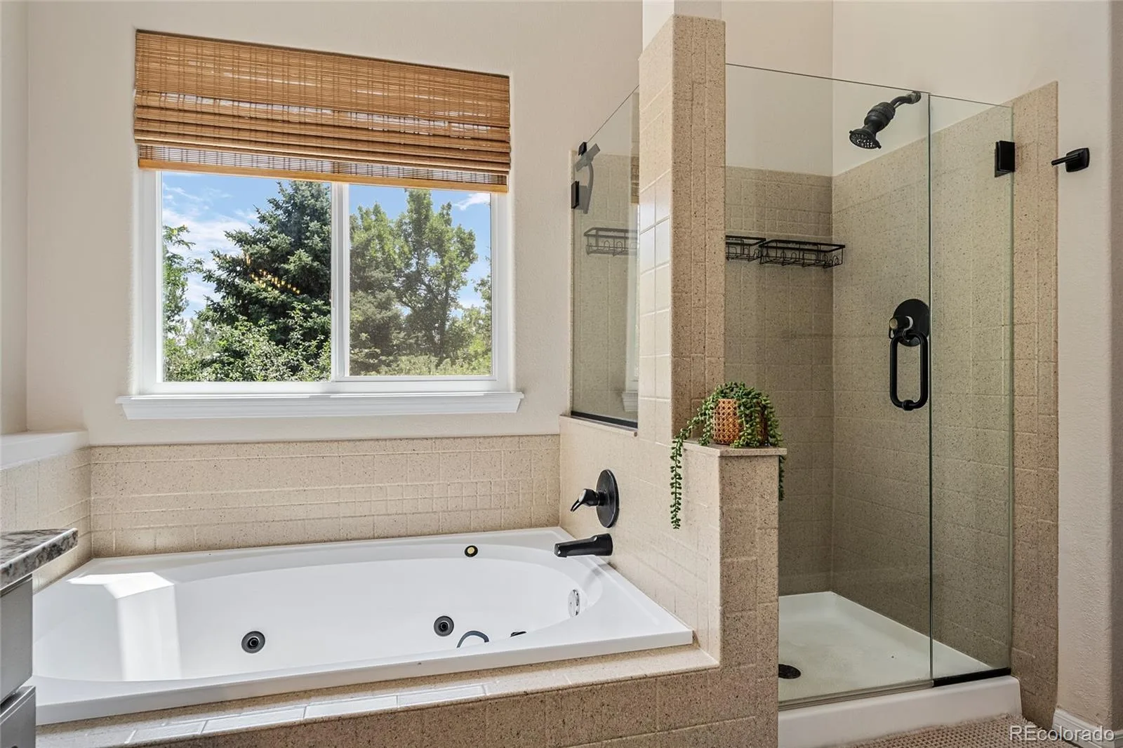 1360 Snowberry Lane Broomfield CO 80020 | MLS #REC1796746 07092026223728 1600 22