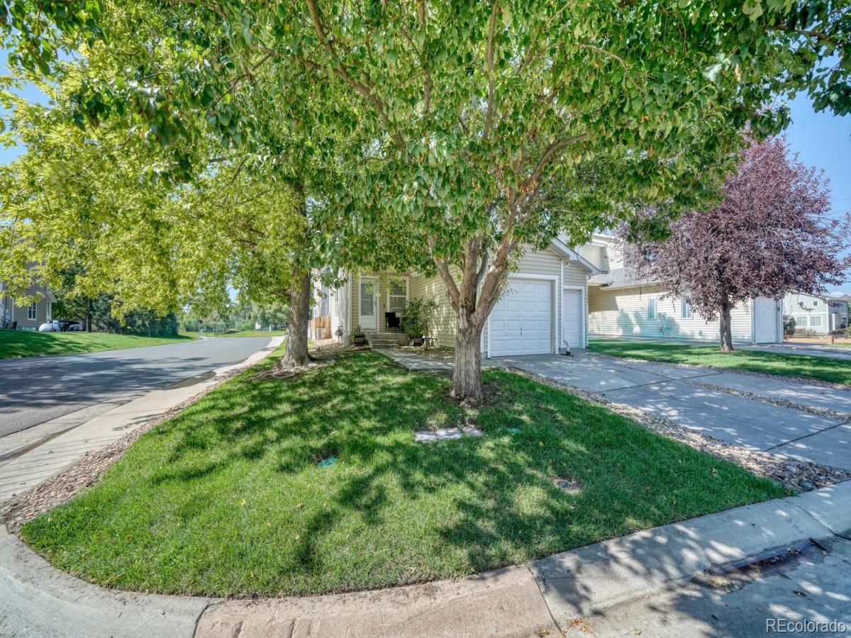 MLS #REC1798099 image #0