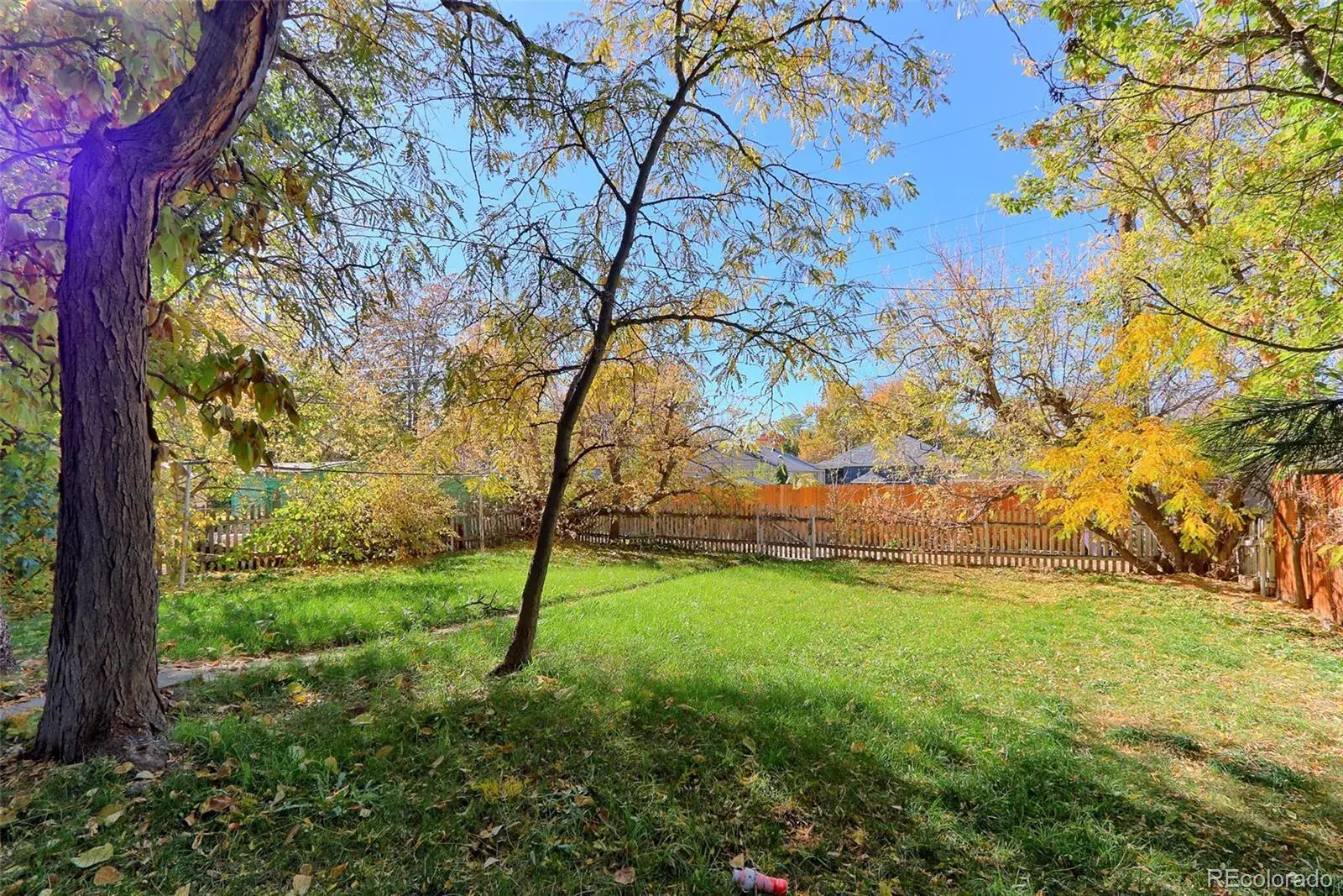 11062025183125 1600 14