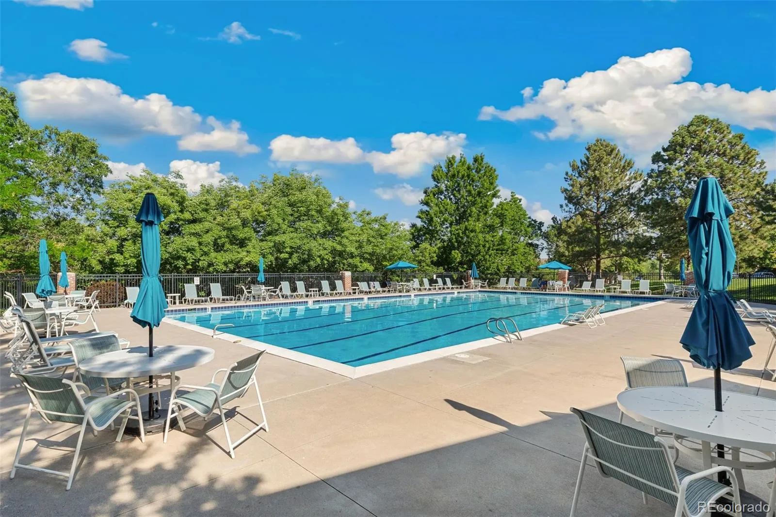 2793 W Long Drive #A Littleton CO 80120 | MLS #REC1804214 07242026212814 1600 38