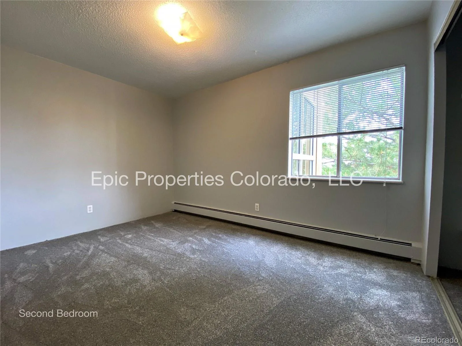 3124 S Wheeling Way #402 #209 Aurora CO 80014 | MLS #REC1805322 09232026130252 1600 11