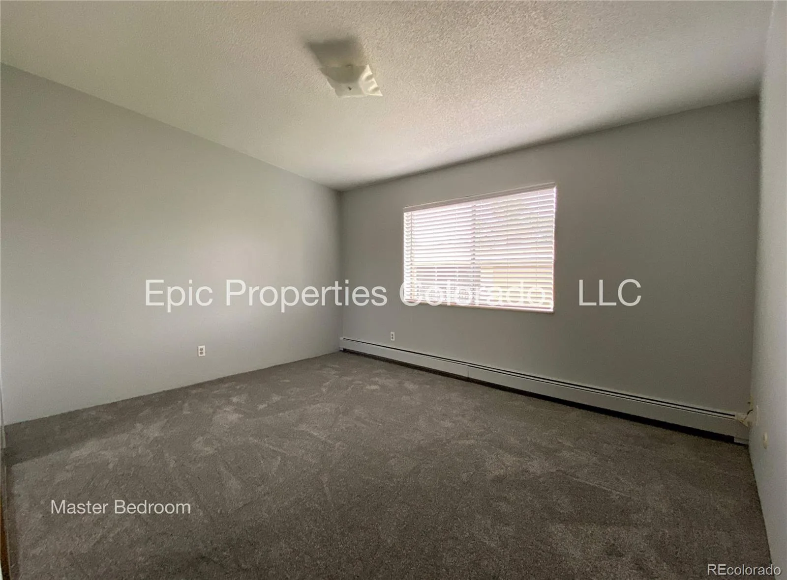 3124 S Wheeling Way #402 #209 Aurora CO 80014 | MLS #REC1805322 09232026130252 1600 9