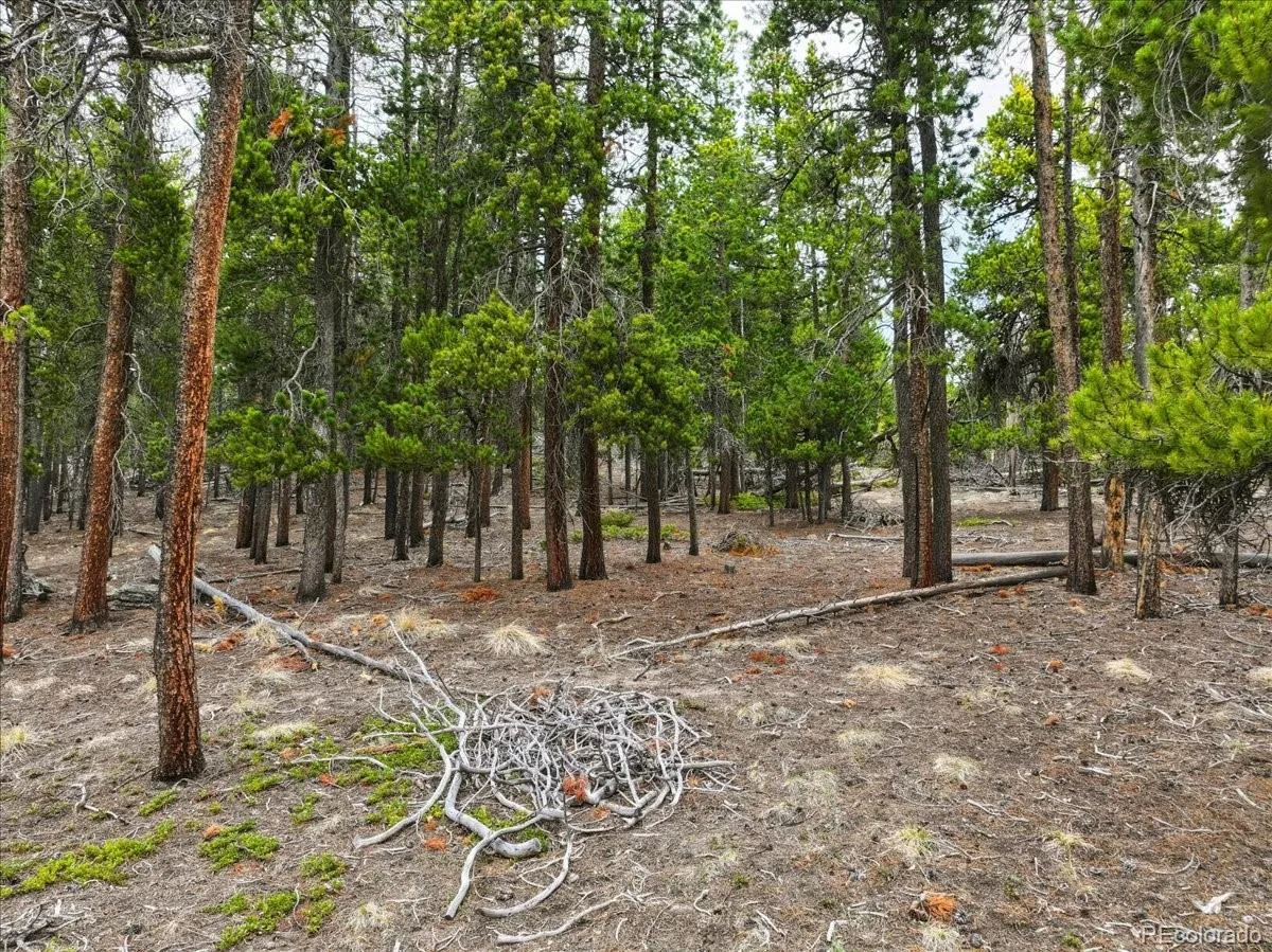000 Sinton Road Evergreen CO 80439 | MLS #REC1809413 07222026172426 1200 14