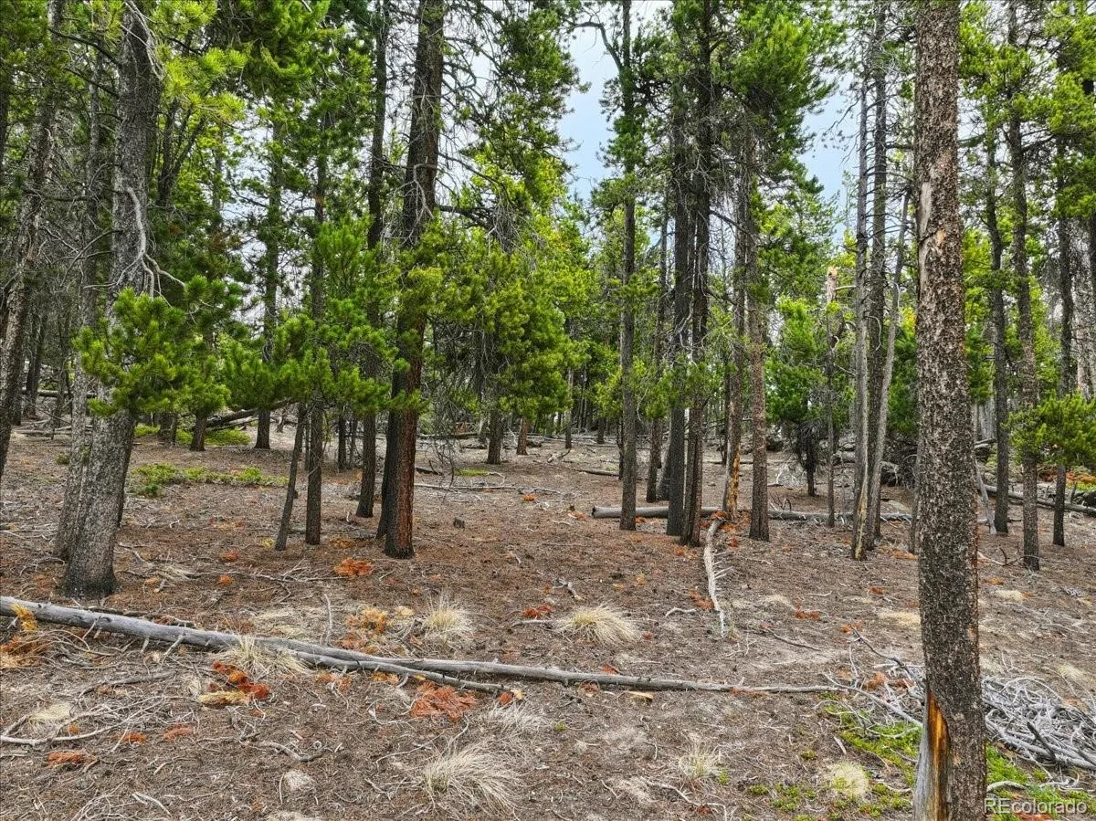 000 Sinton Road Evergreen CO 80439 | MLS #REC1809413 07222026172426 1200 15
