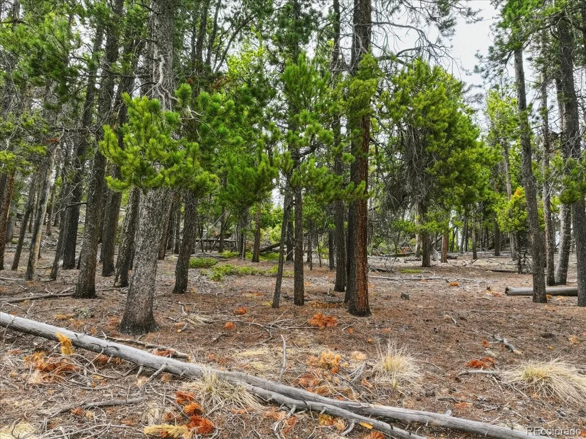 000 Sinton Road Evergreen CO 80439 | MLS #REC1809413 07222026172426 1200 16
