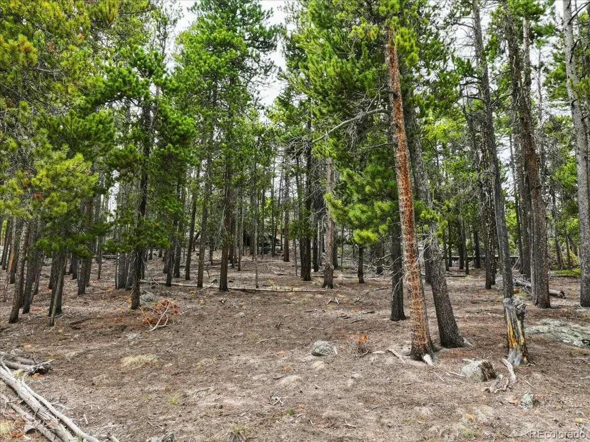 000 Sinton Road Evergreen CO 80439 | MLS #REC1809413 07222026172426 1200 17