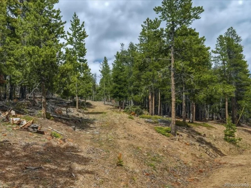 000 Sinton Road Evergreen CO 80439 | MLS #REC1809413 07222026172426 800 12
