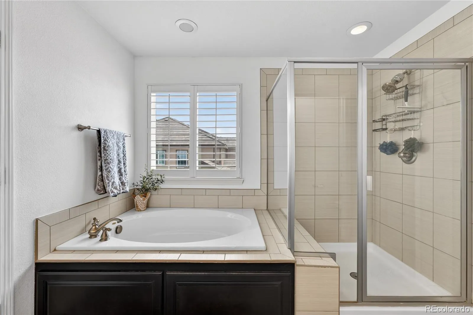 10621 Worthington Circle Parker CO 80134 MLS #REC1818344 05092026192457 1600 21
