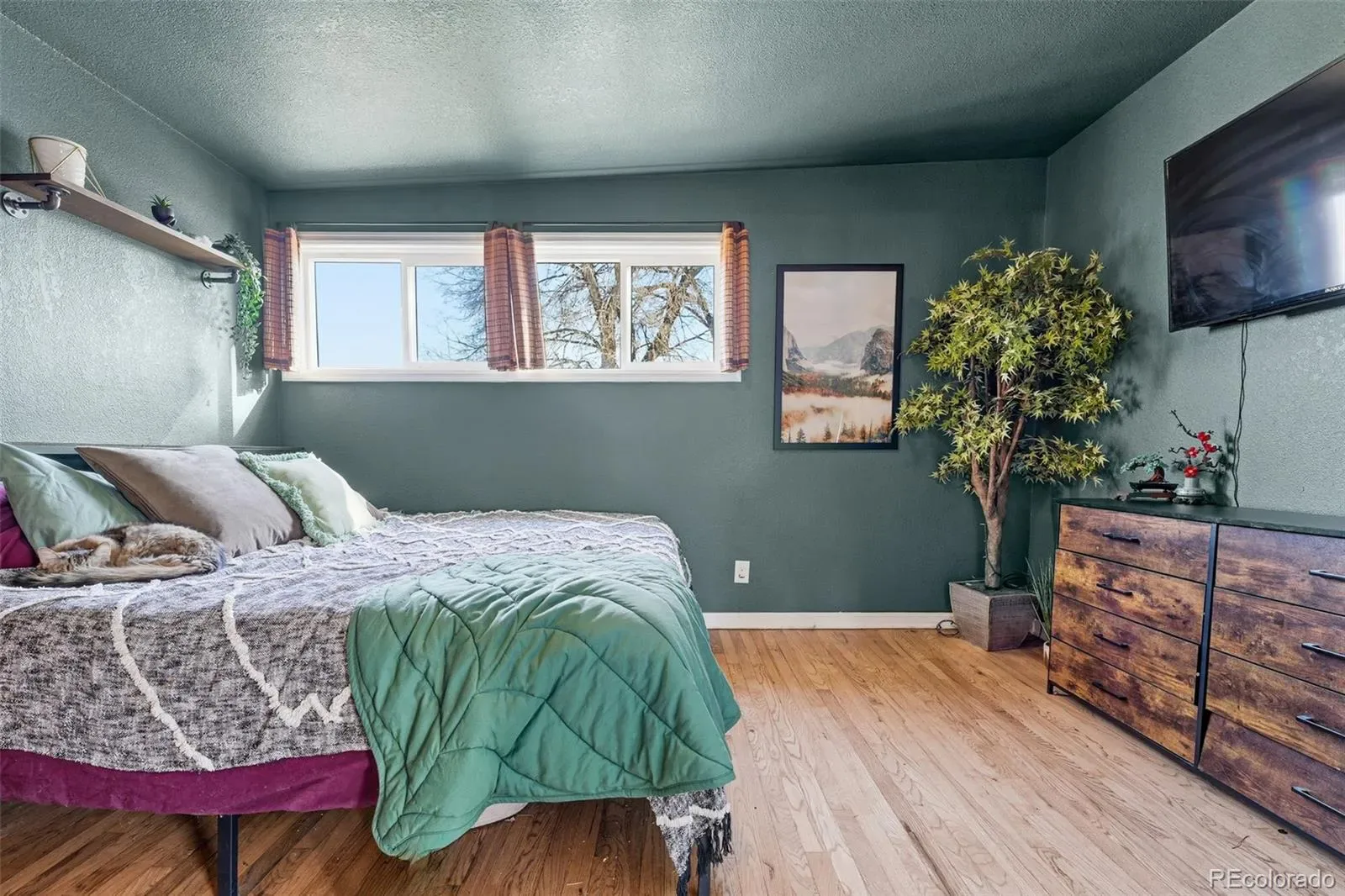 03182026202833 1600 19