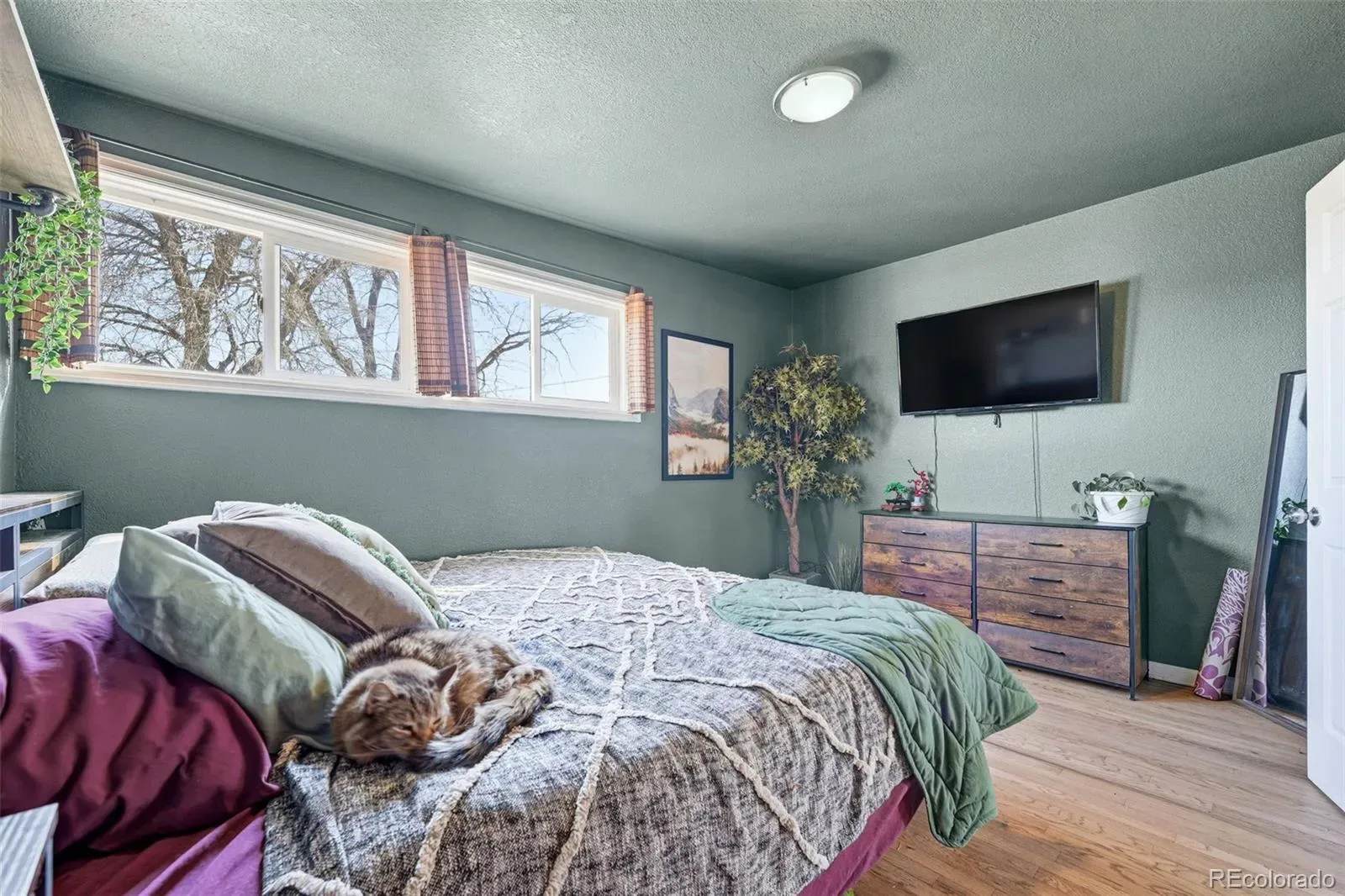 03182026202833 1600 22