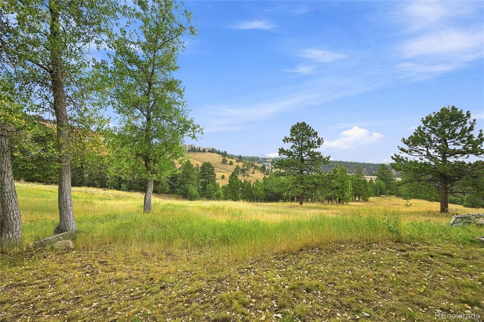 786 Chimney Creek Drive #B Golden CO 80401 | MLS #REC1825265 08282026193727 1600 31