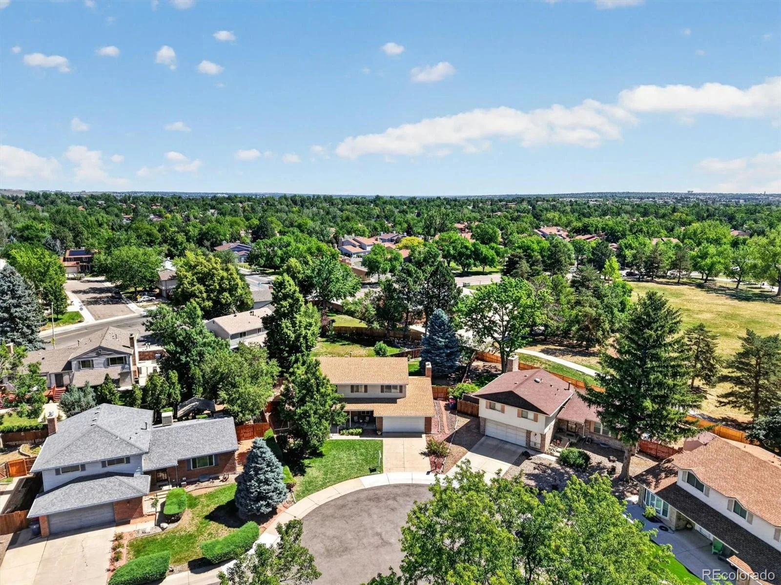 9245 W 83rd Place Arvada CO 80005 MLS #REC1830518 06122026172918 1600 12