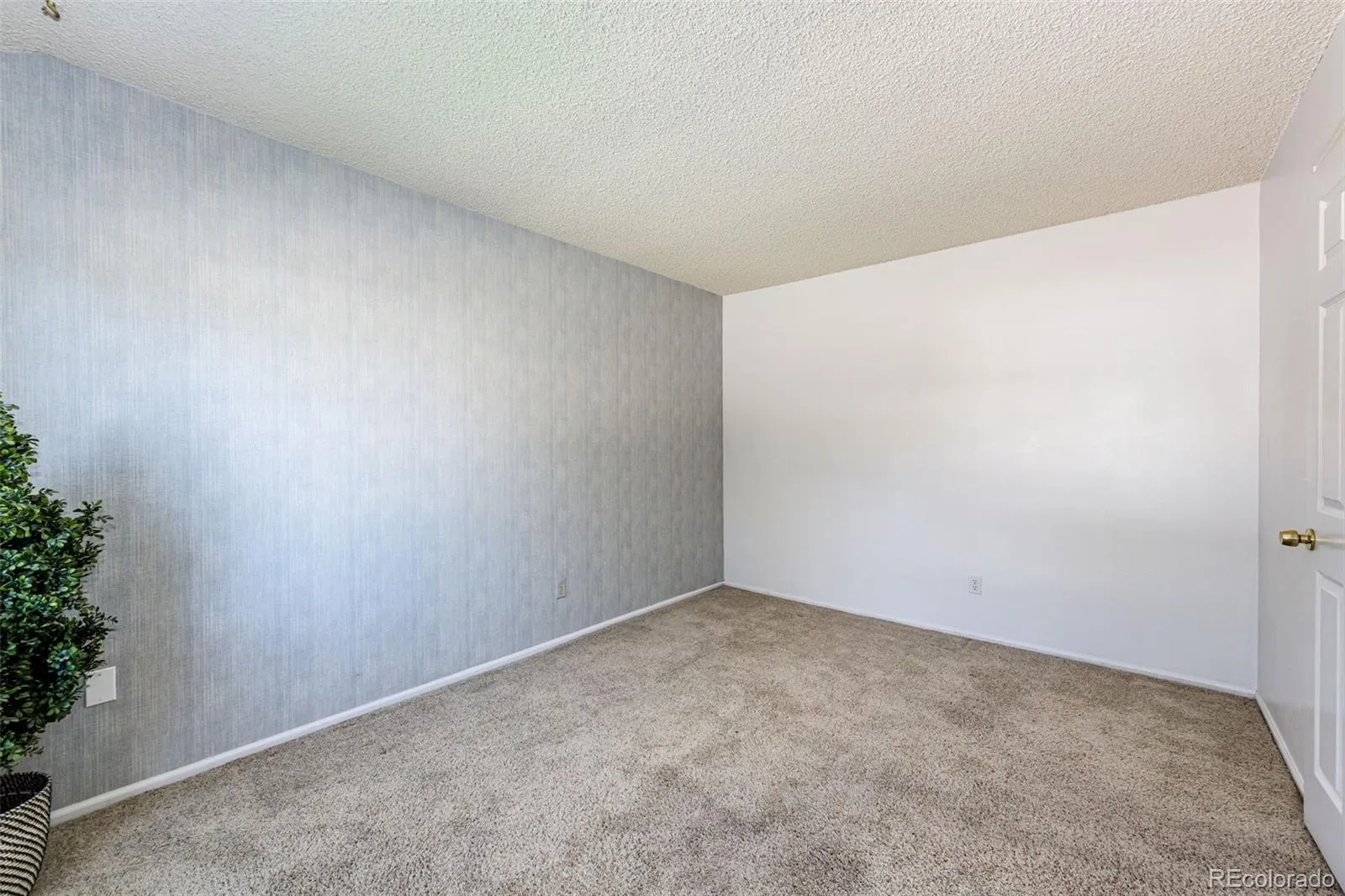 6360 S Jasmine Way Centennial CO 80111 MLS #REC1842153 05152026055320 1600 20
