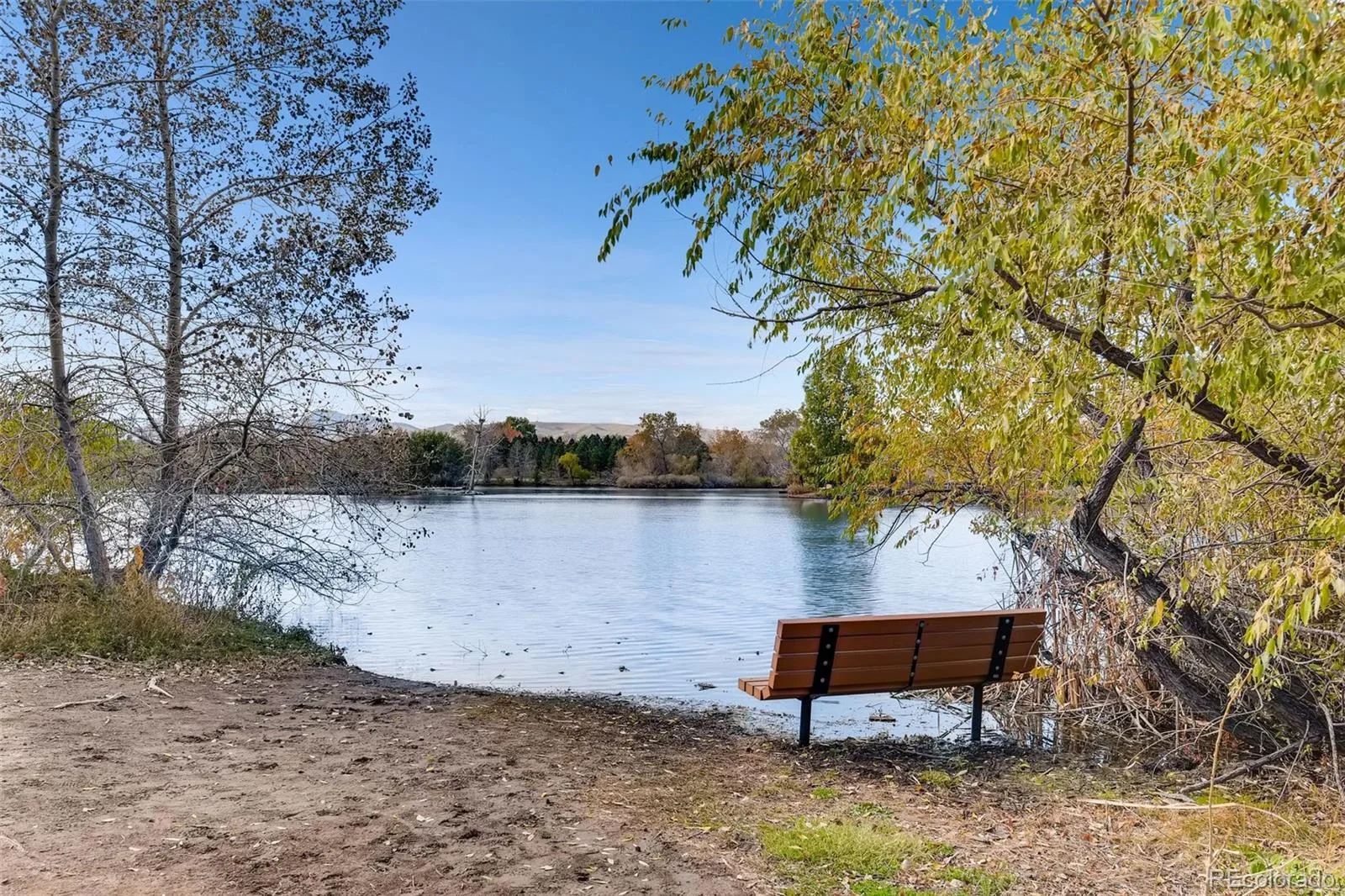 457 S Reed Court Lakewood CO 80226 | MLS #REC1842245 08122026212953 1600 38