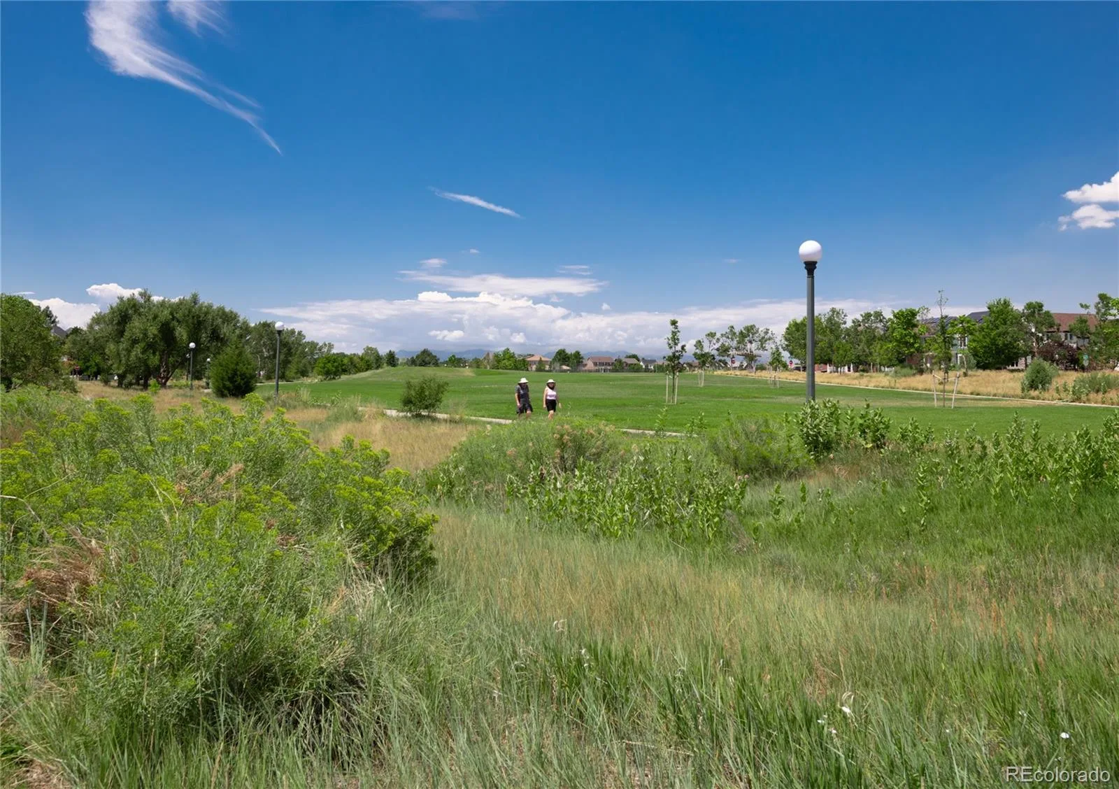 3031 Trenton Street Denver CO 80238 MLS #REC1845361 06202026000027 1600 45