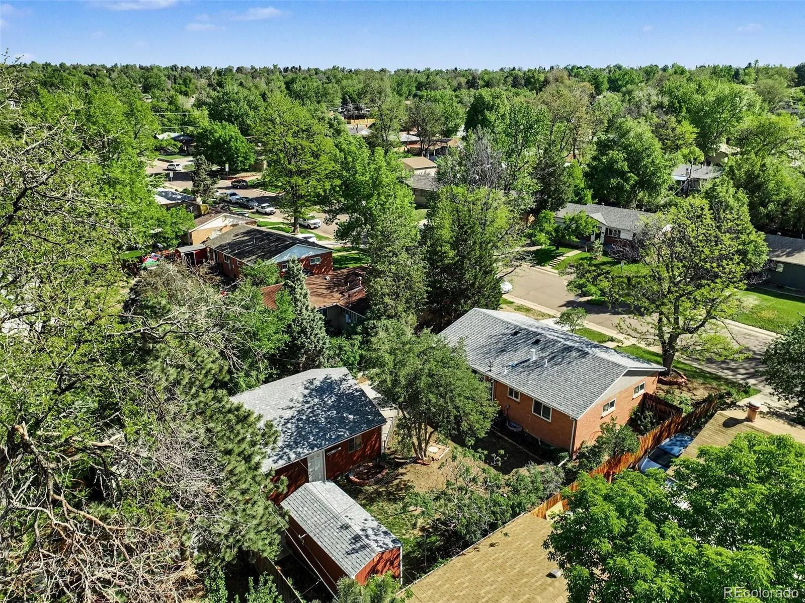 3217 S Stuart Street Denver CO 80236 MLS #REC1851000 05282026151756 1600 25
