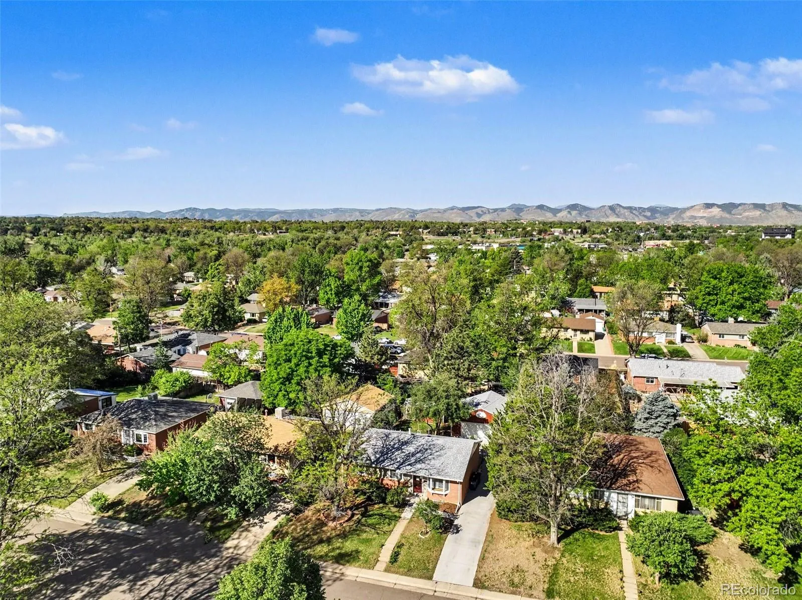 3217 S Stuart Street Denver CO 80236 MLS #REC1851000 05282026151756 1600 26