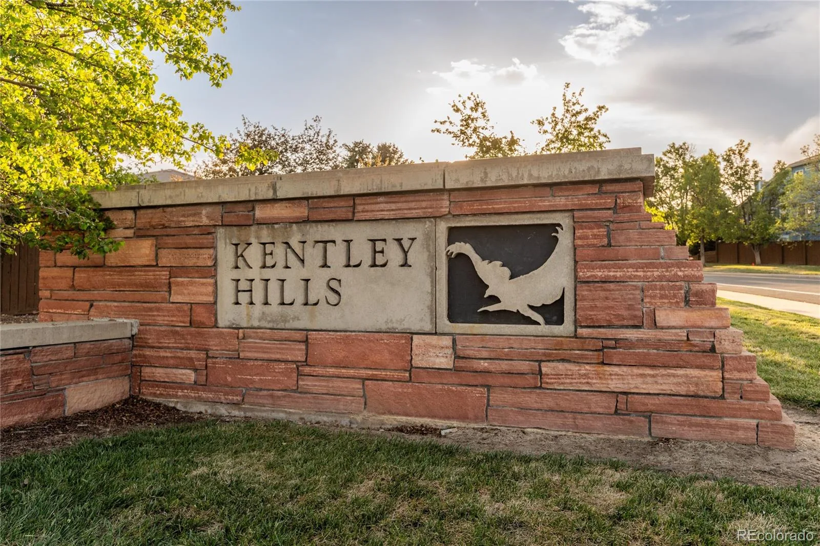 3041 Wyecliff Way Highlands Ranch CO 80126 MLS #REC1851024 06092026072544 1600 45