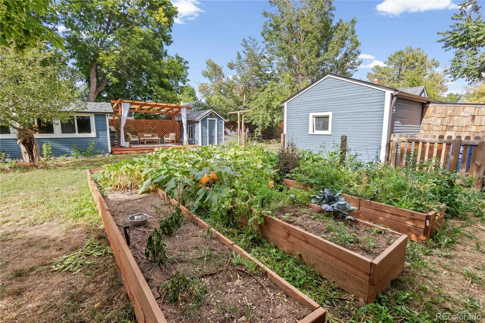 3875 Harlan Street Wheat Ridge CO 80033 | MLS #REC1856782 08192026214336 1600 28