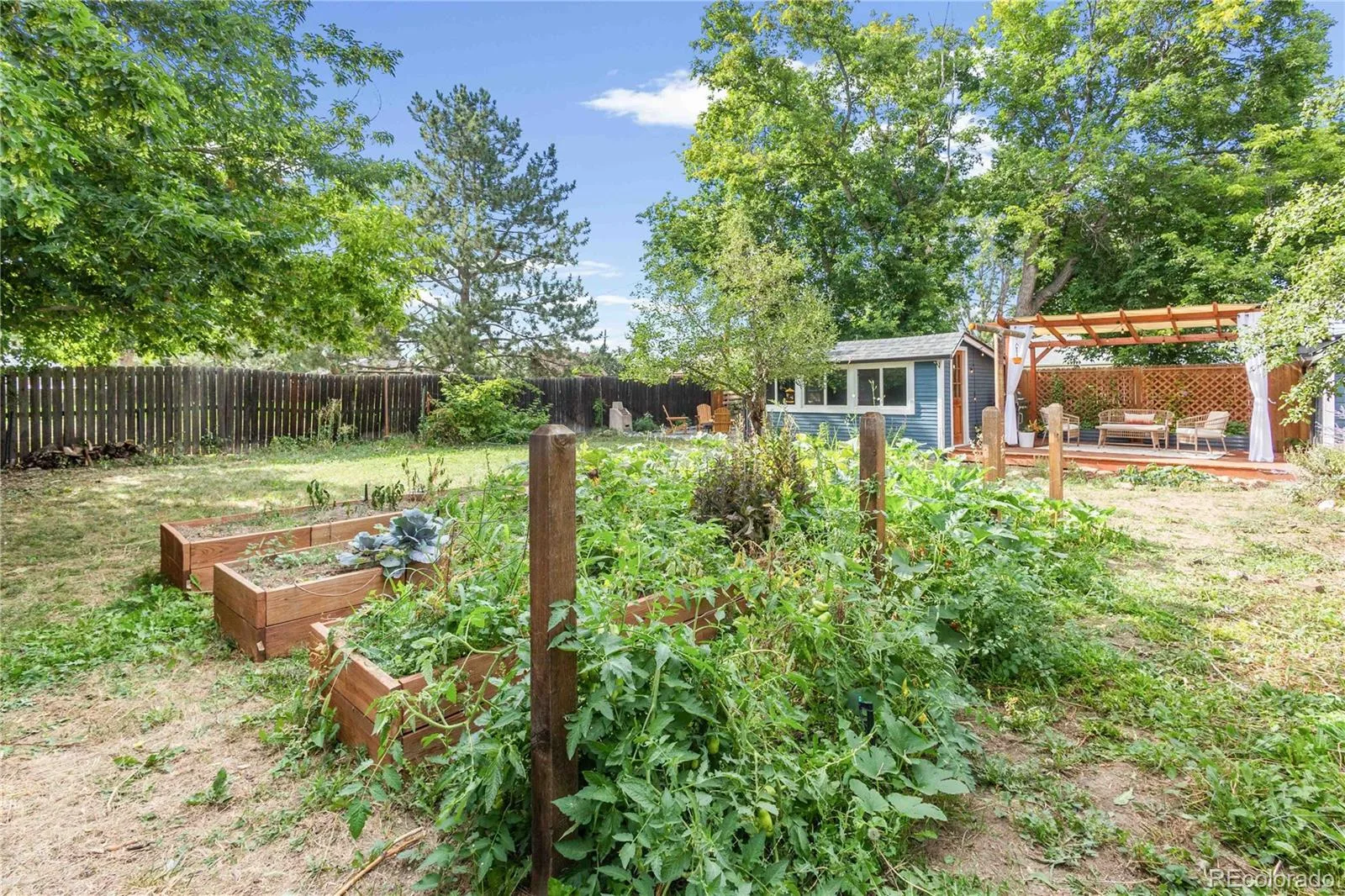 3875 Harlan Street Wheat Ridge CO 80033 | MLS #REC1856782 08192026214336 1600 29