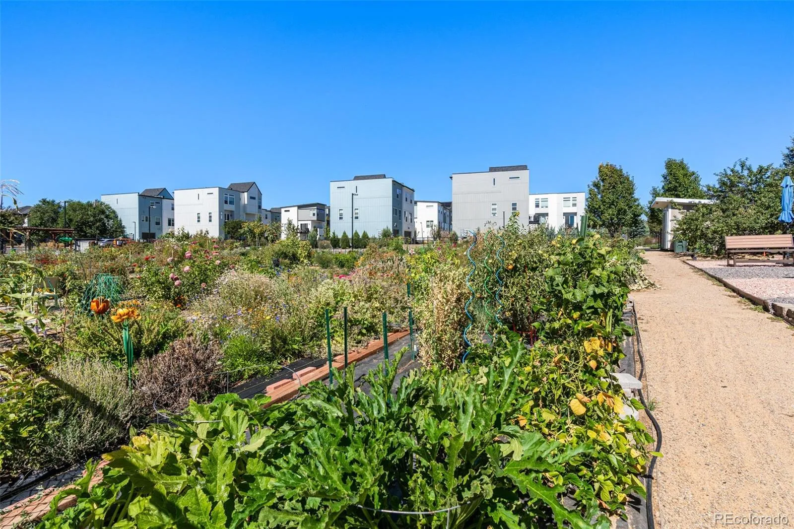 04172026170342 1600 42