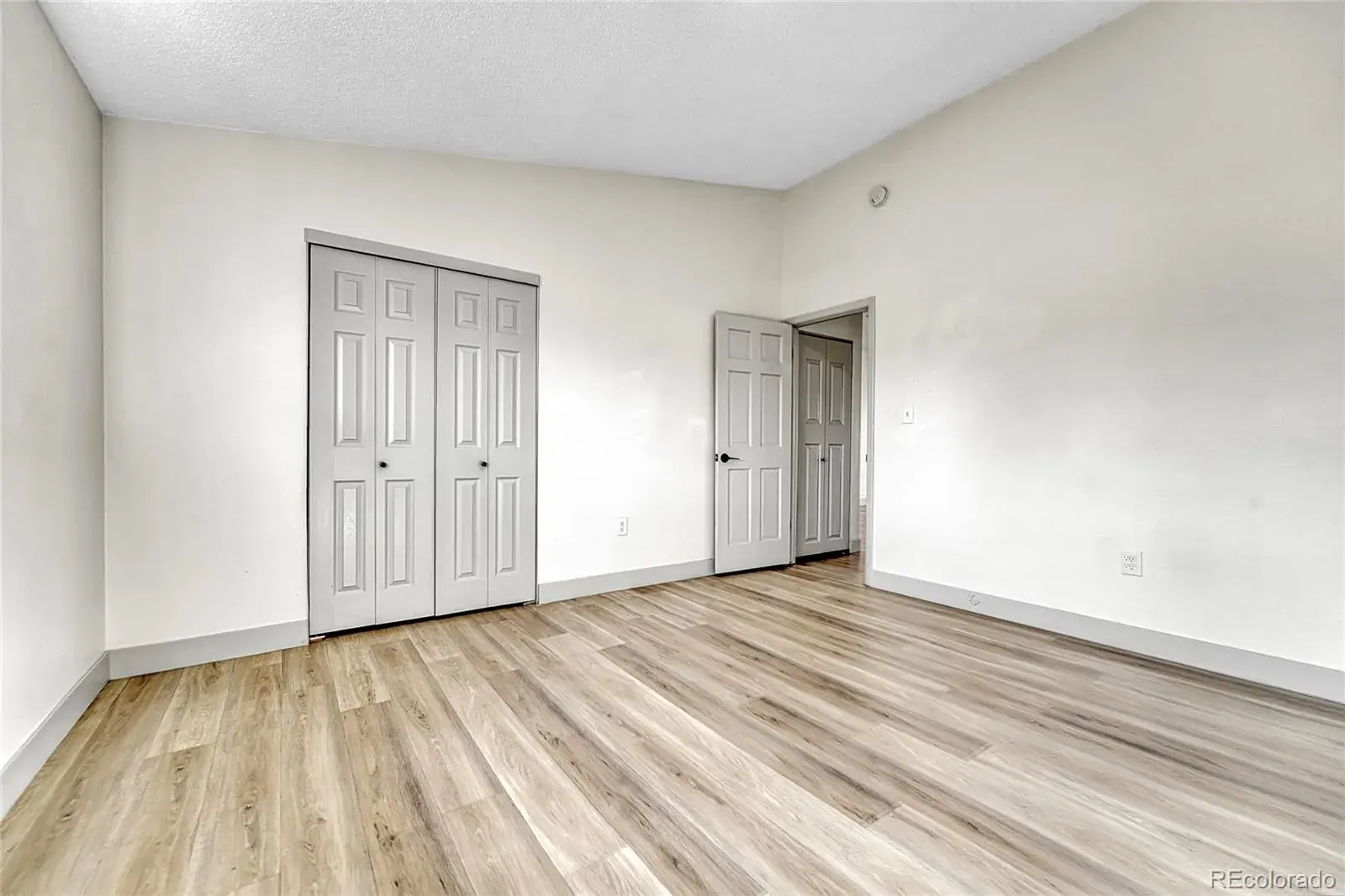 02262026173732 1600 12