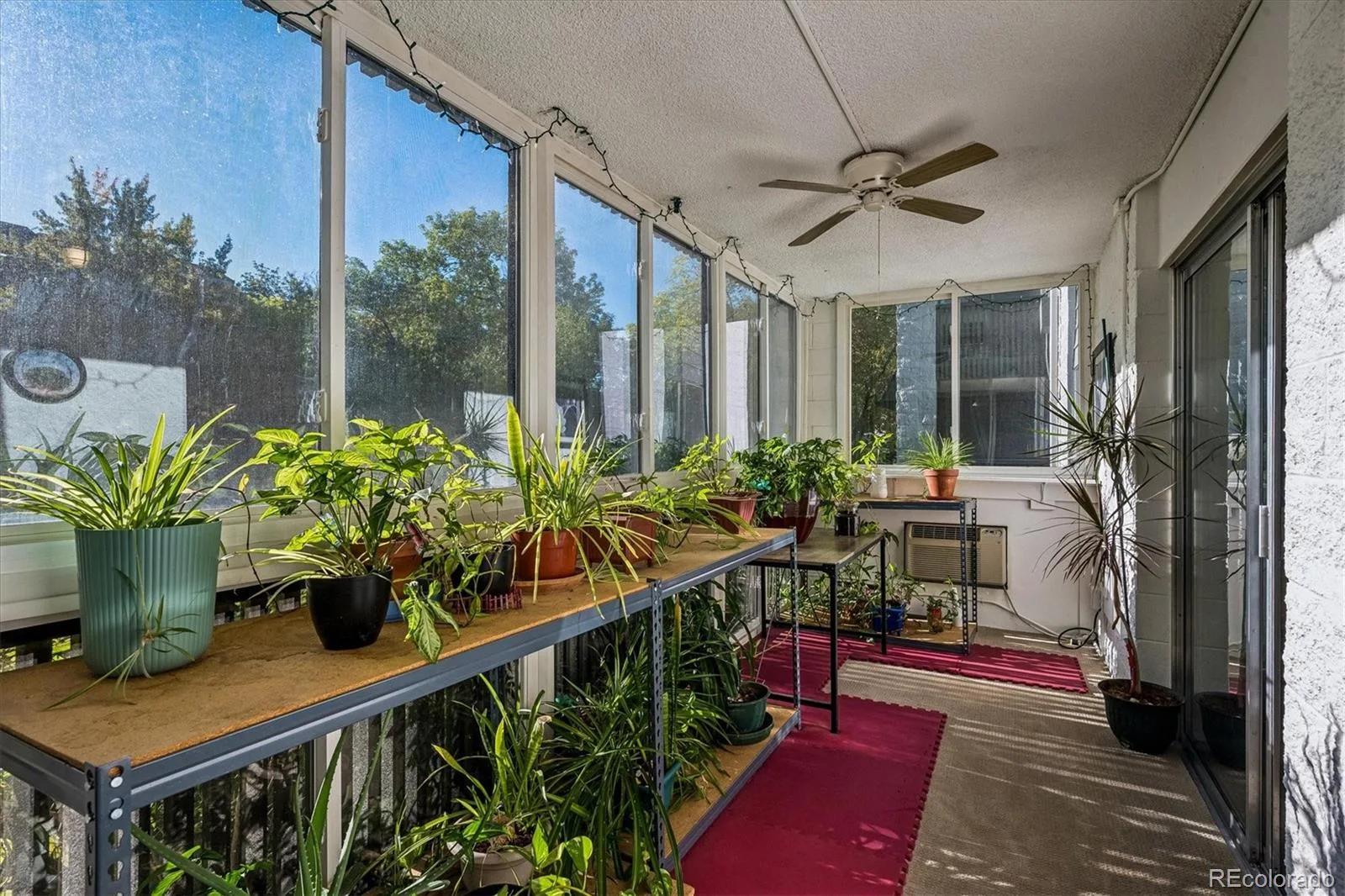 3465 S Poplar Street #101 Denver CO 80224 | MLS #REC1868797 10102026025458 1600 11