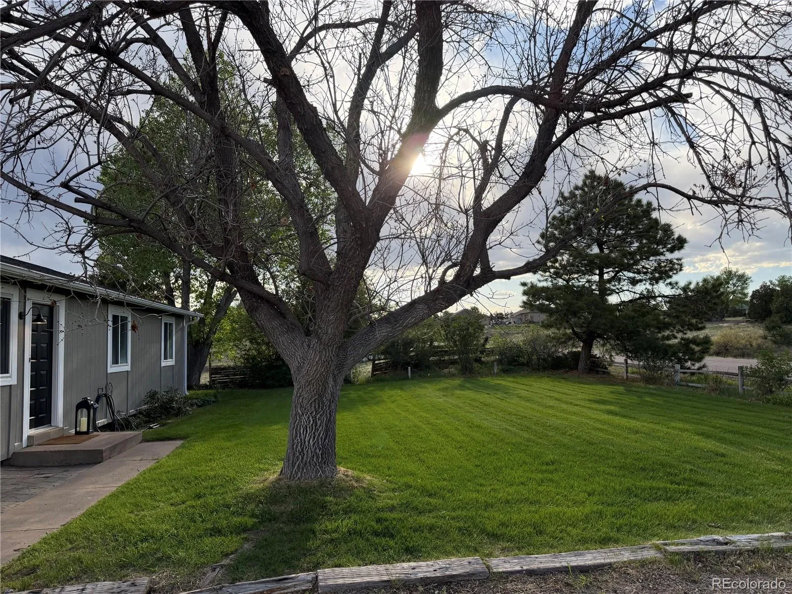 3410 Dogwood Avenue Parker CO 80134 MLS #REC1881574 05202026000508 1600 4