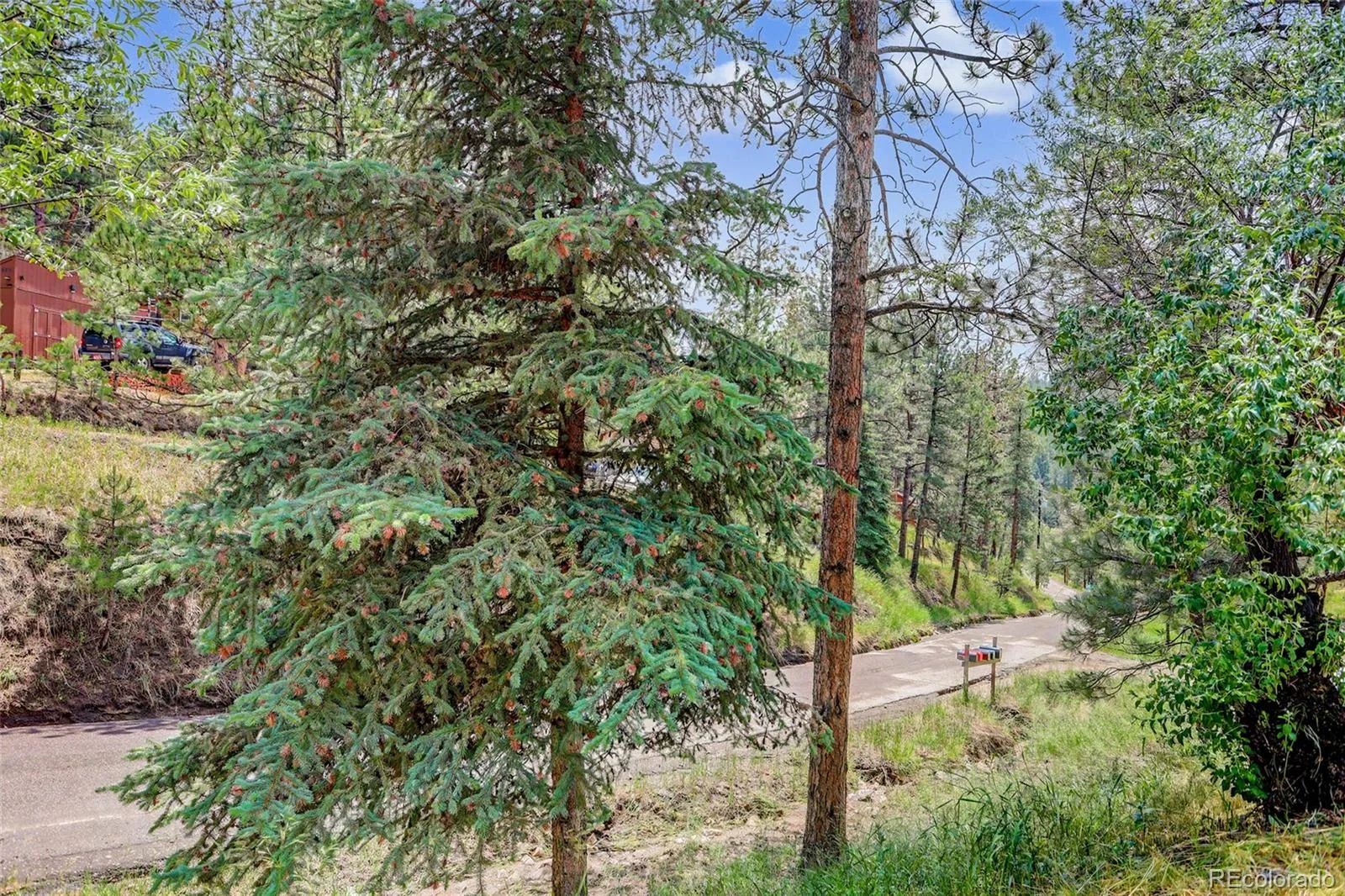 27535 Mountain Park Road Evergreen CO 80439 | MLS #REC1886237 08132026135655 1600 32