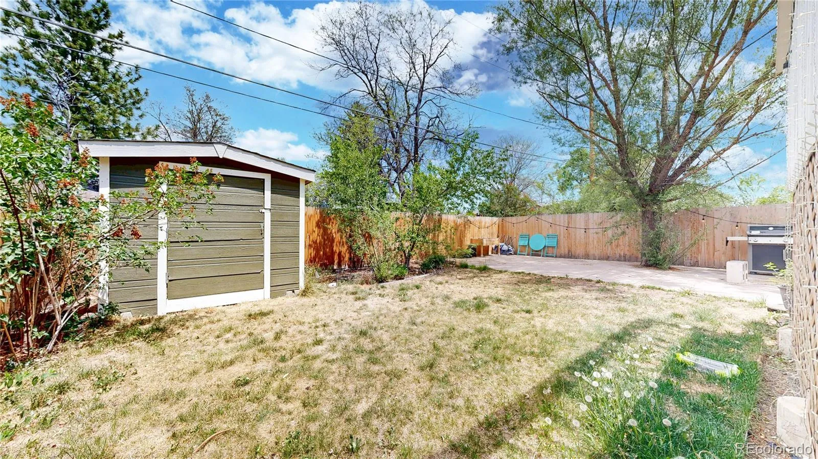 1038 Lamar Street #B Lakewood CO 80214 MLS #REC1886644 05232026092134 1600 23