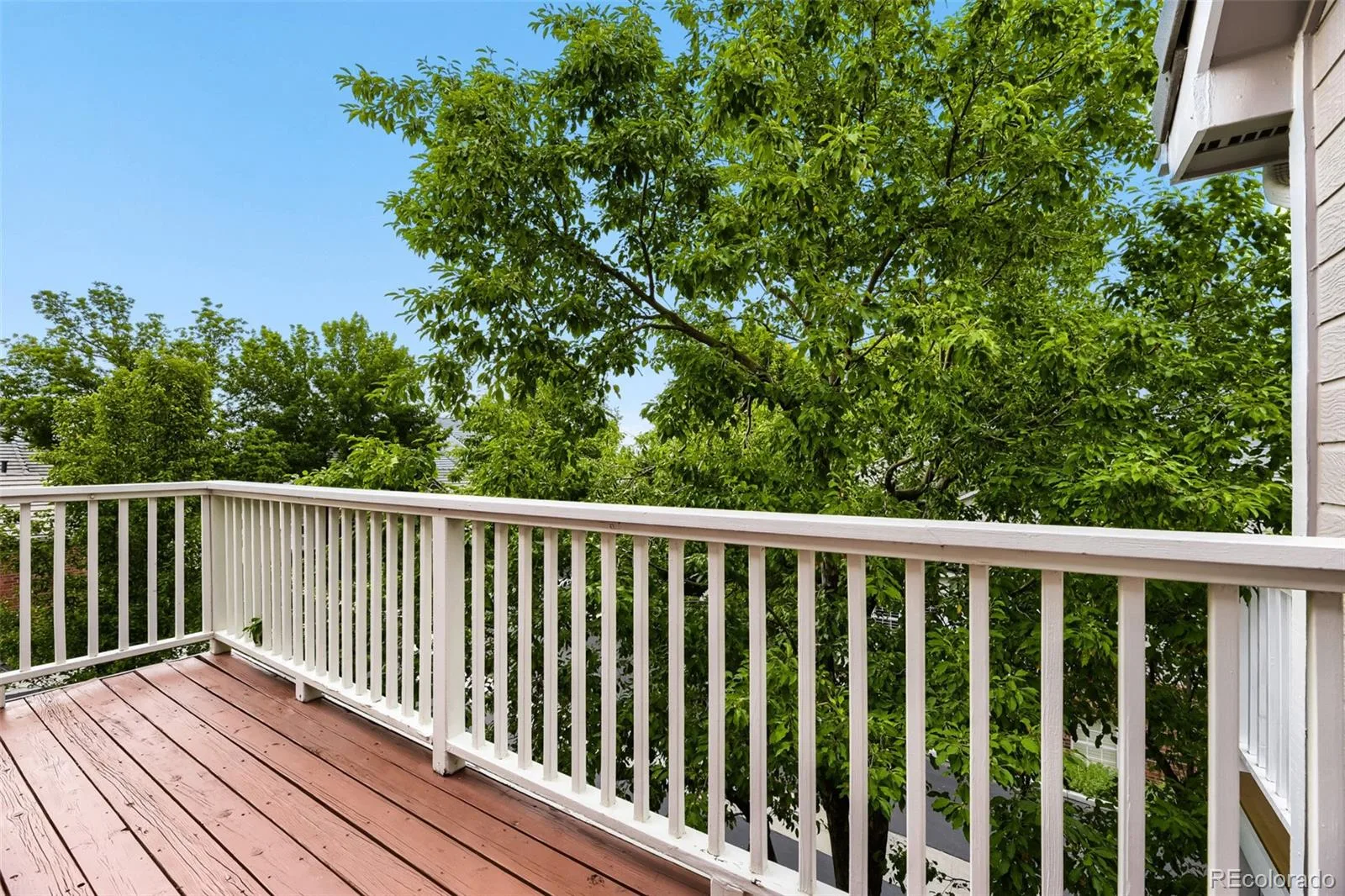 8703 Wentworth Court Lone Tree CO 80124 | MLS #REC1902378 08192026181631 1600 14