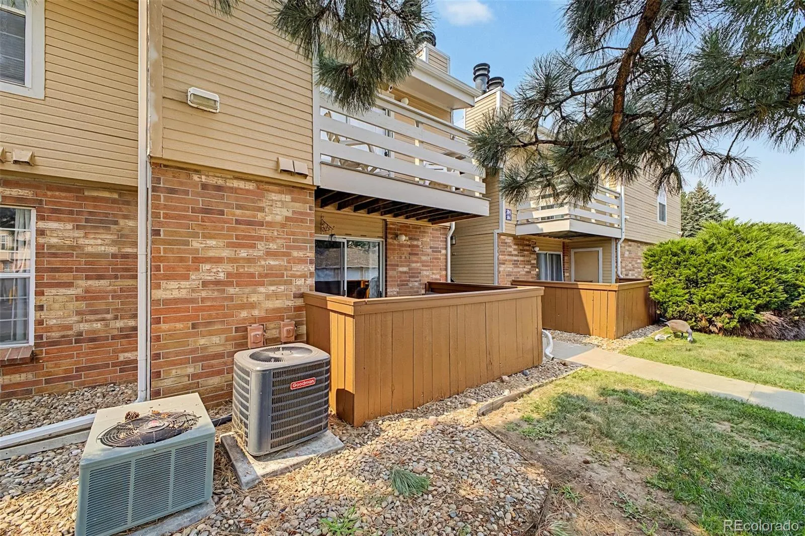3336 S Ammons Street #12-103 Lakewood CO 80227 | MLS #REC1907064 08242026215723 1600 3