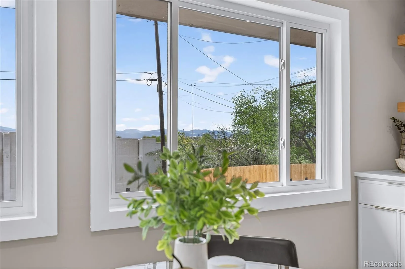 3075 S Holly Place Denver CO 80222 MLS #REC1909299 06092026072116 1600 12