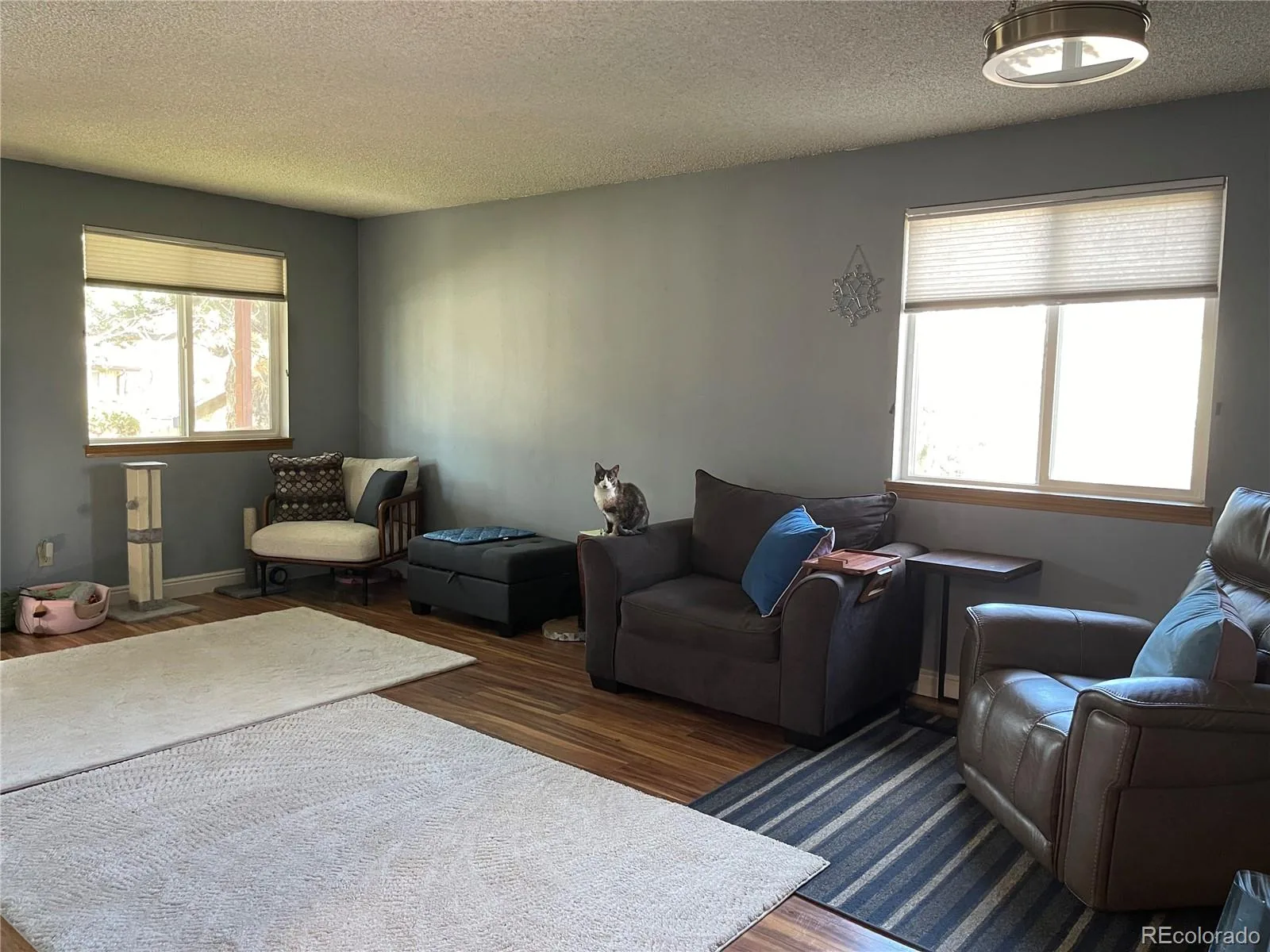 972 S Yukon Street Lakewood CO 80226 | MLS #REC1913815 07302026204139 1600 1