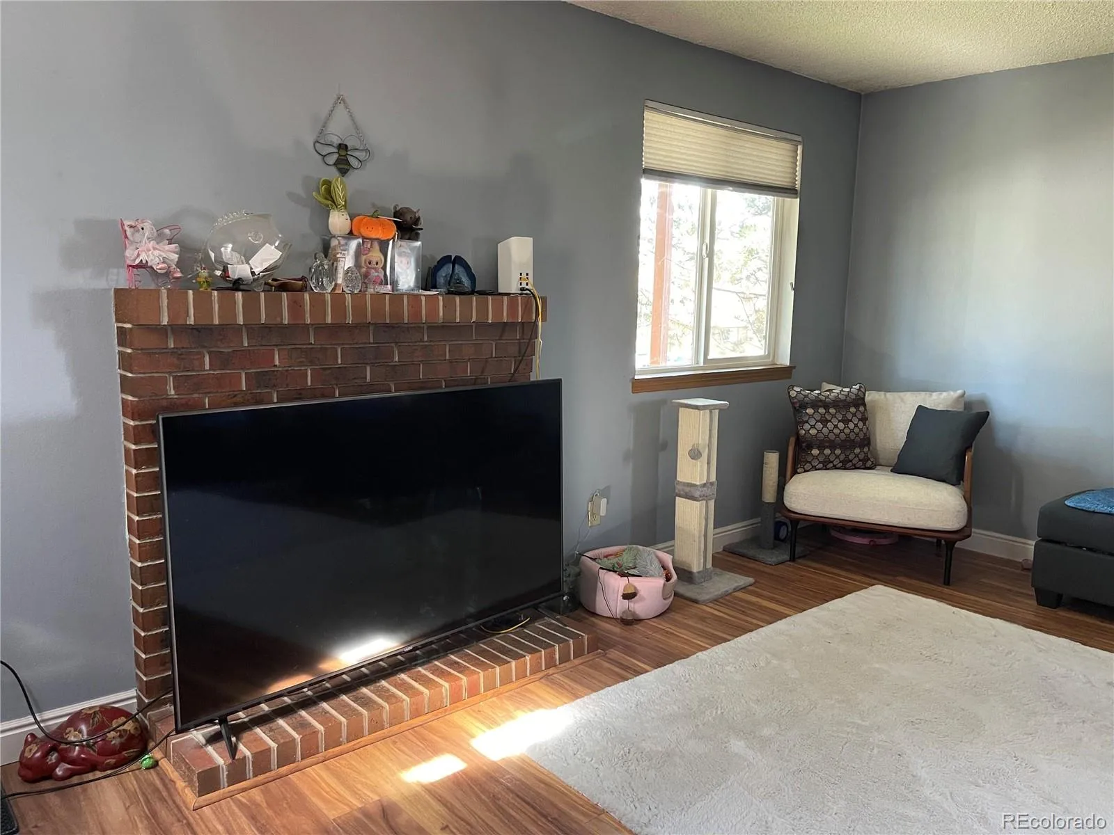 972 S Yukon Street Lakewood CO 80226 | MLS #REC1913815 07302026204139 1600 2