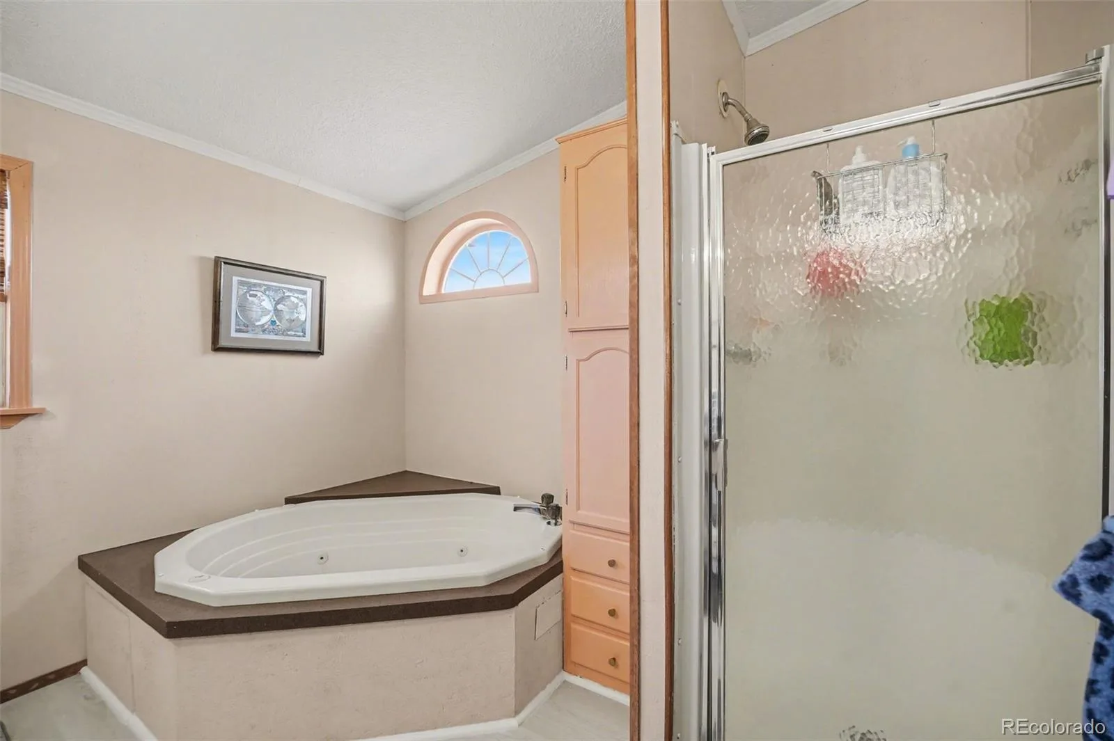 15665 Havana Way Brighton CO 80602 | MLS #REC1919267 06092026074630 1600 10