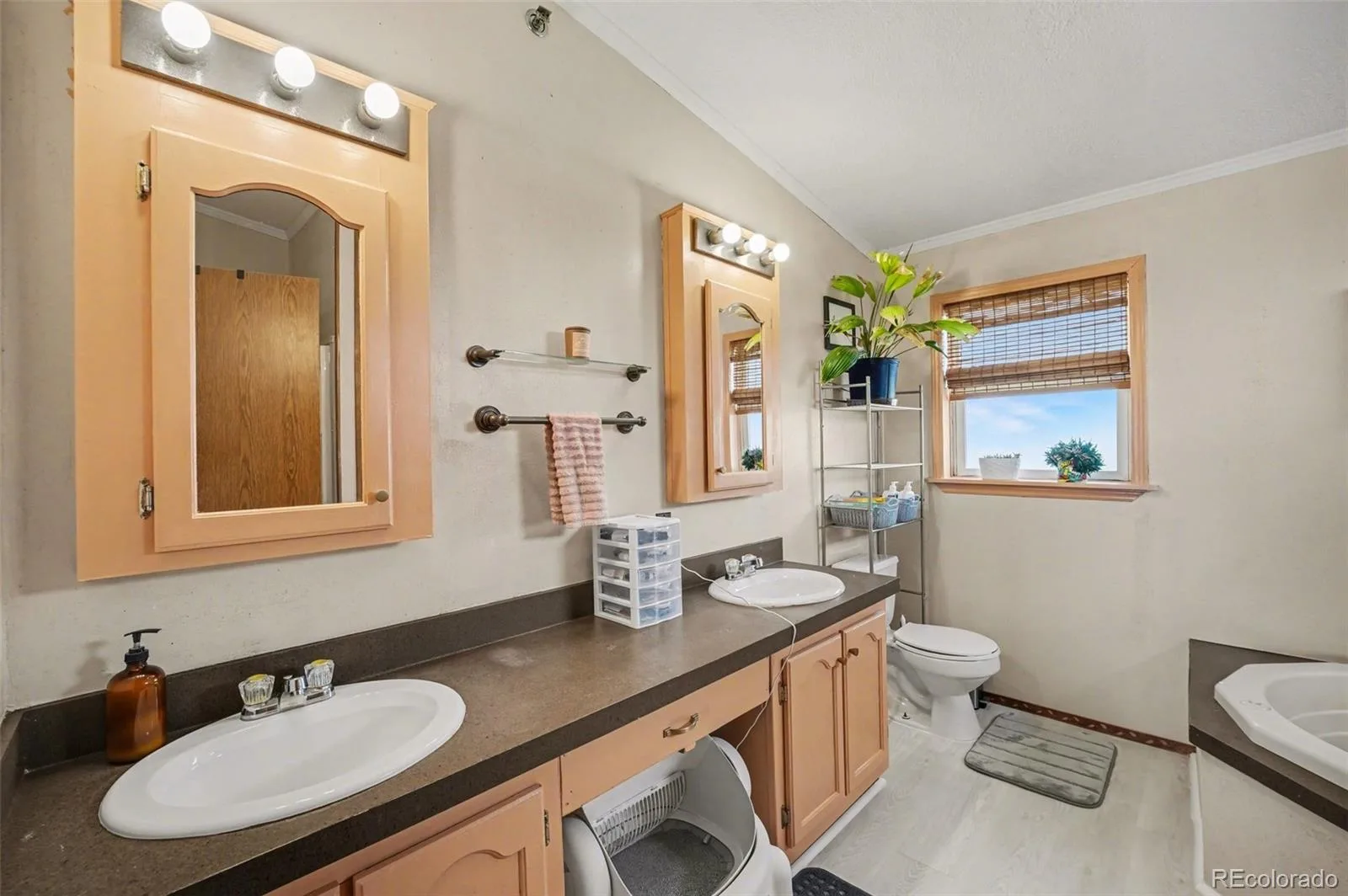 15665 Havana Way Brighton CO 80602 | MLS #REC1919267 06092026074630 1600 9