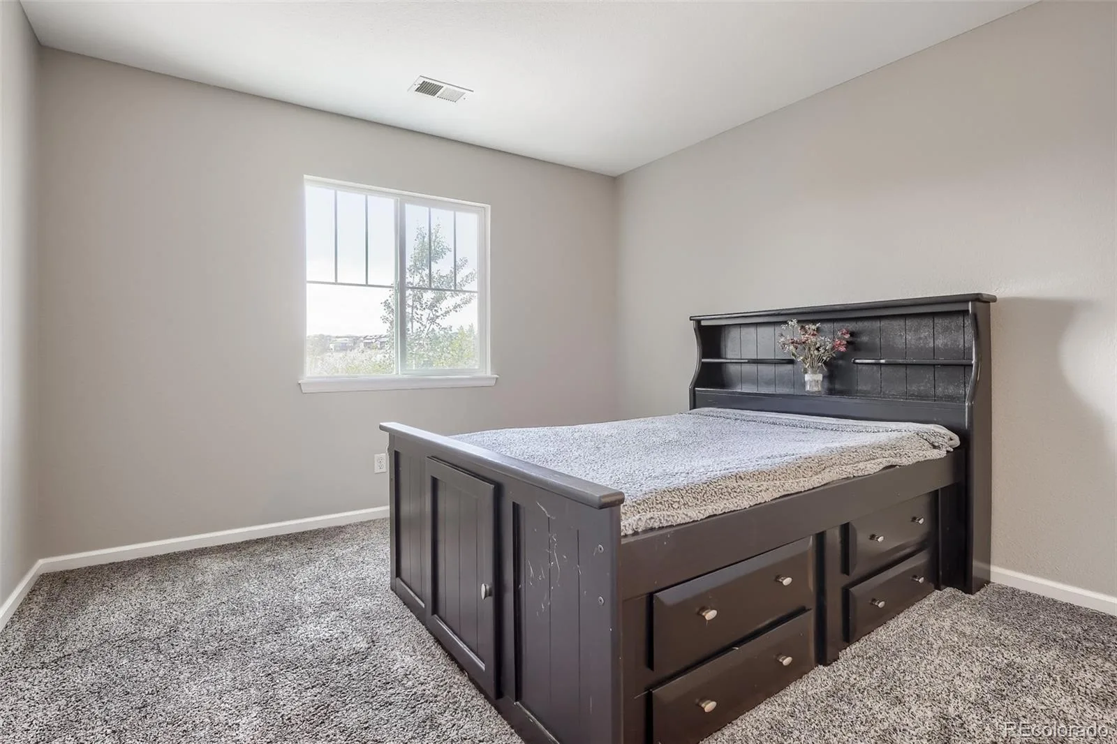 24872 E Irish Drive Aurora CO 80016 MLS #REC1921792 06192026230429 1600 14
