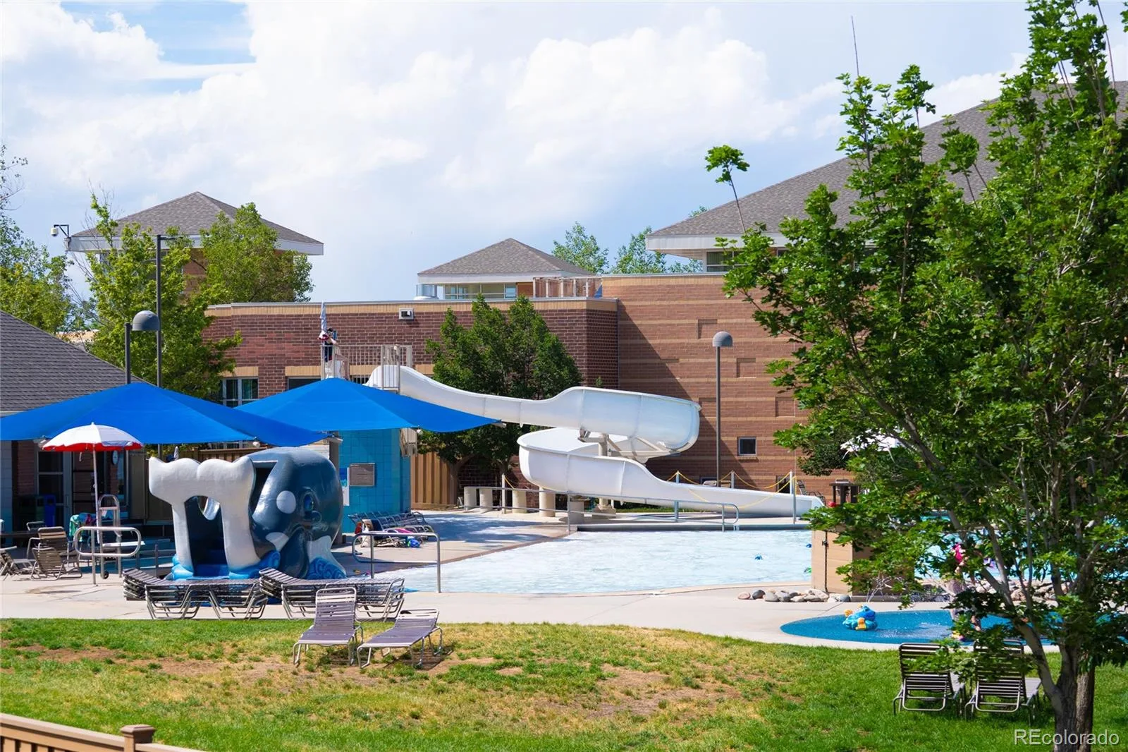 9688 Whitecliff Place Highlands Ranch CO 80129 | MLS #REC1922543 07252026161431 1600 28