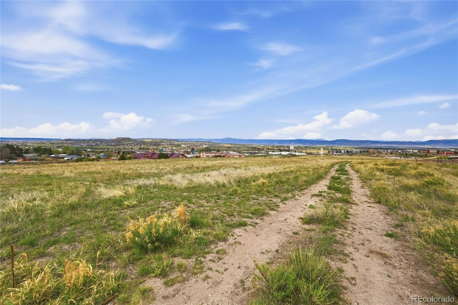 Evalena Castle Rock CO 80104 | MLS #REC1925547 06302026190733 1600 13