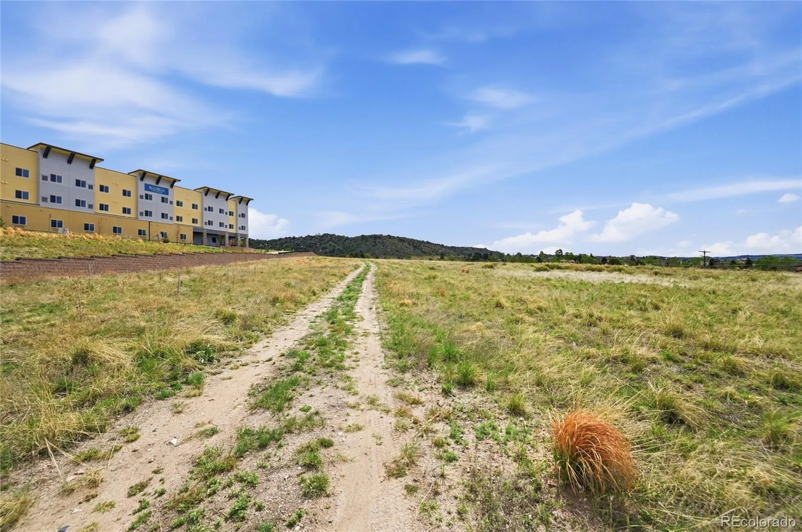 Evalena Castle Rock CO 80104 | MLS #REC1925547 06302026190733 1600 18