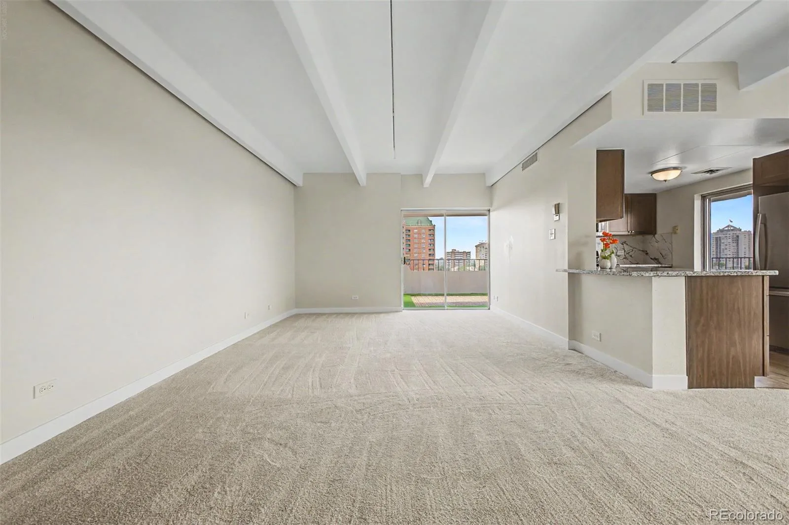 130 N Pearl Street #1103 Denver CO 80203 MLS #REC1937117 06112026214222 1600 1