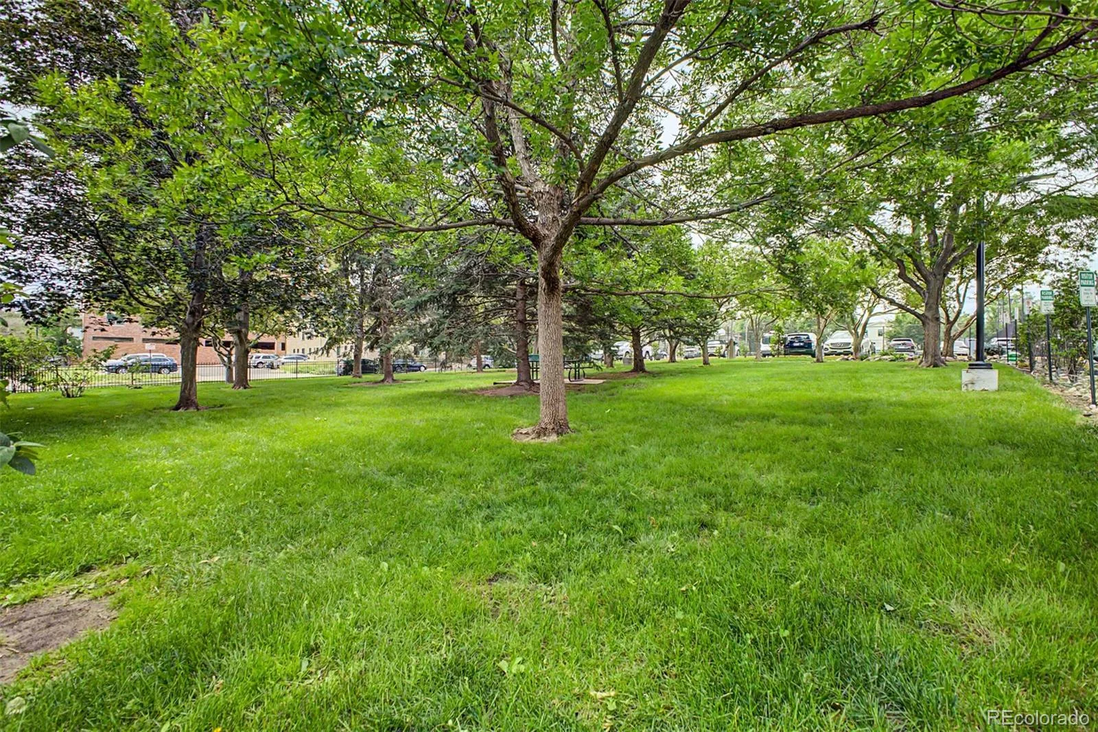130 N Pearl Street #1103 Denver CO 80203 MLS #REC1937117 06112026214222 1600 37