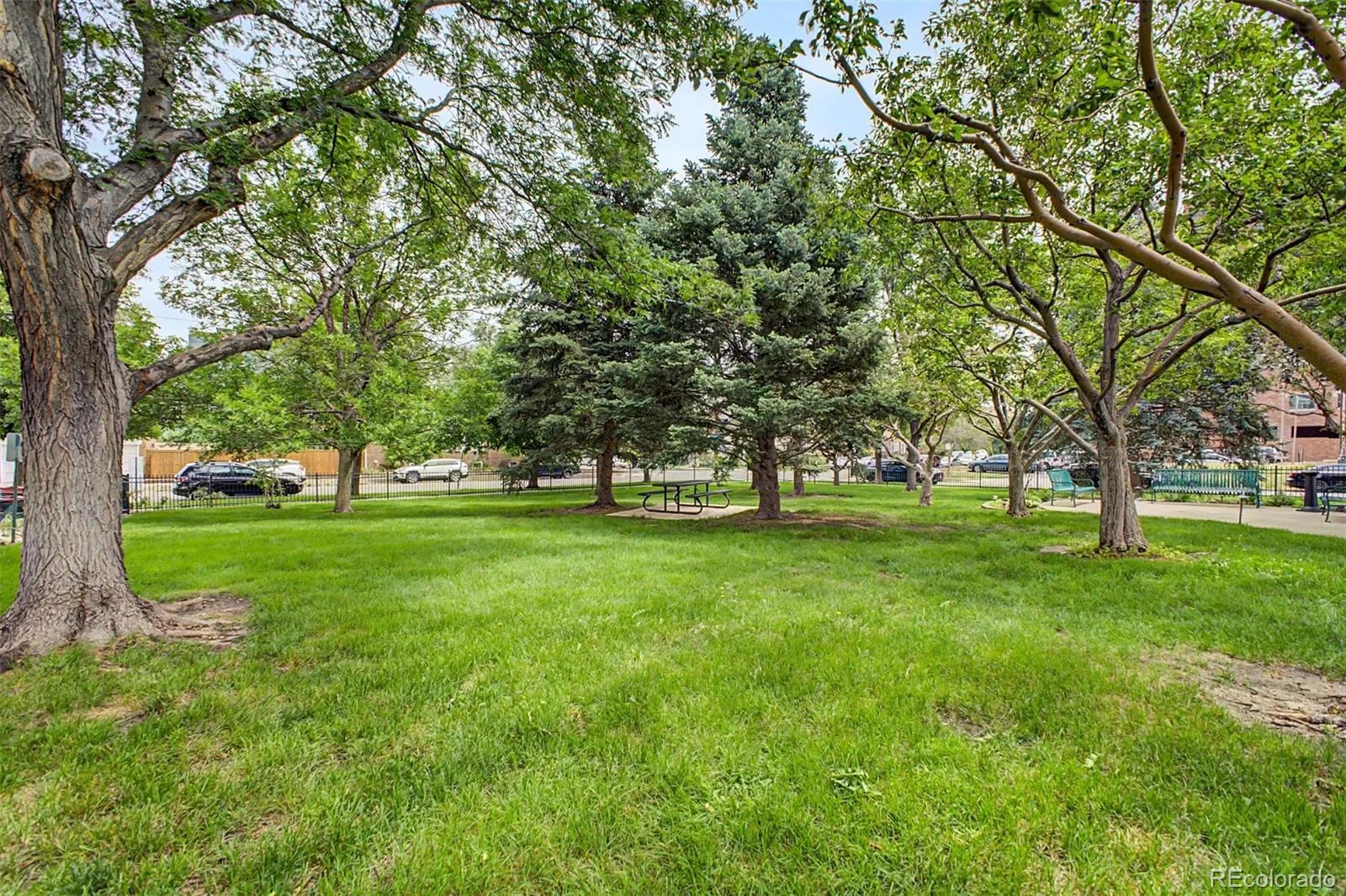 130 N Pearl Street #1103 Denver CO 80203 MLS #REC1937117 06112026214222 1600 38