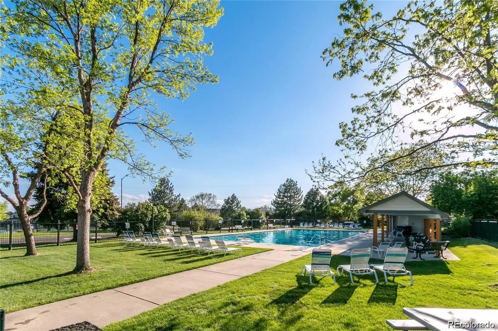 03192026205830 1600 42