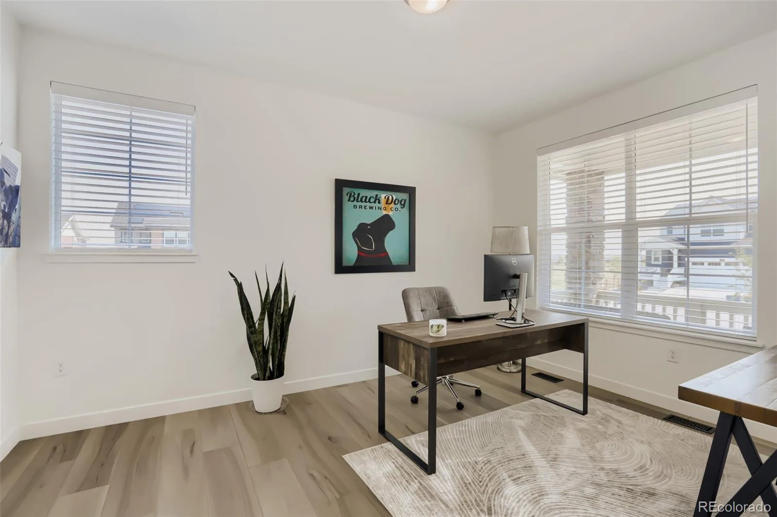 546 Nightsky Street Erie CO 80516 | MLS #REC1942983 07062026142534 1600 12