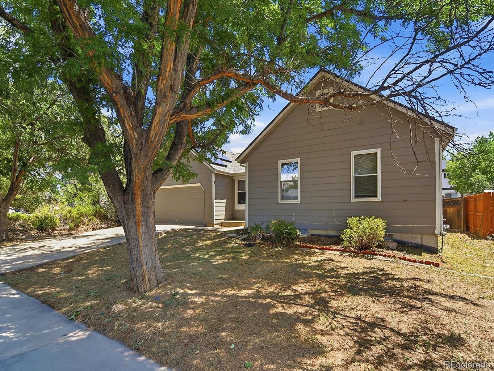 16136 E Exposition Drive Aurora CO 80017 | MLS #REC1944688 07282026000603 1600 2